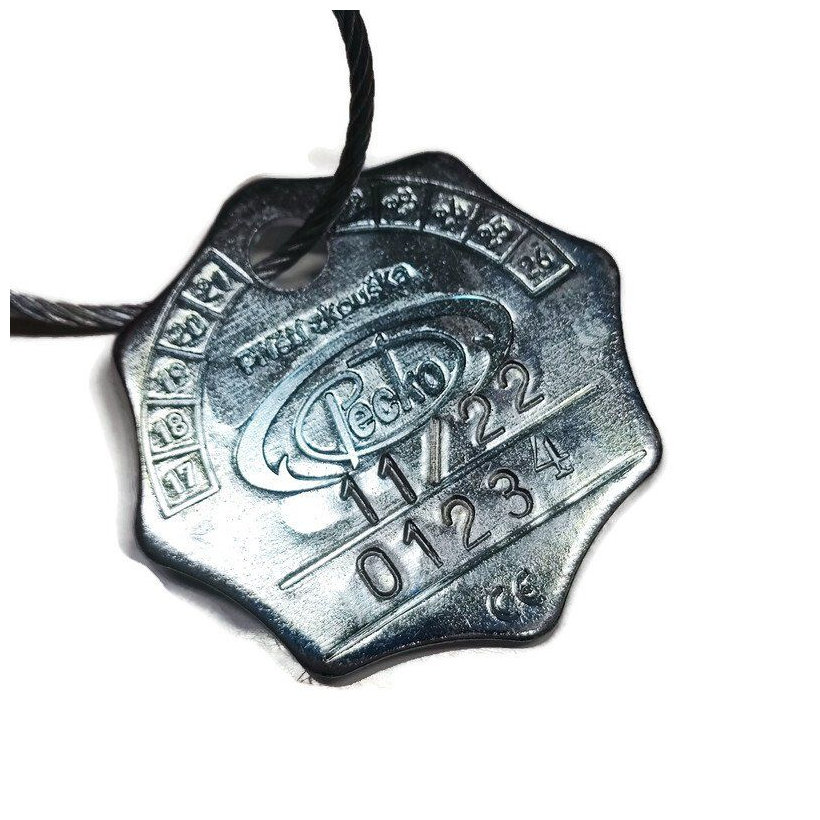 Reťazový pás 6 m tr 80