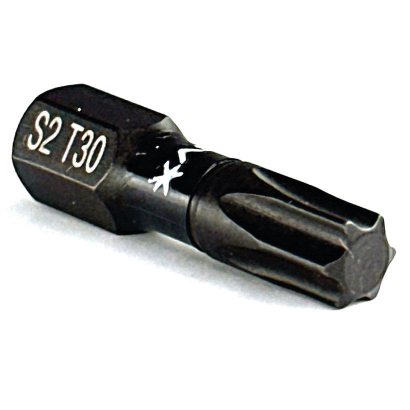 Bit magnetický TX30x25 mm