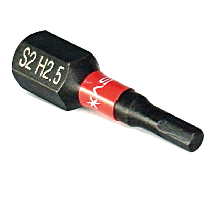 Bit magnetický H2,5x25 mm