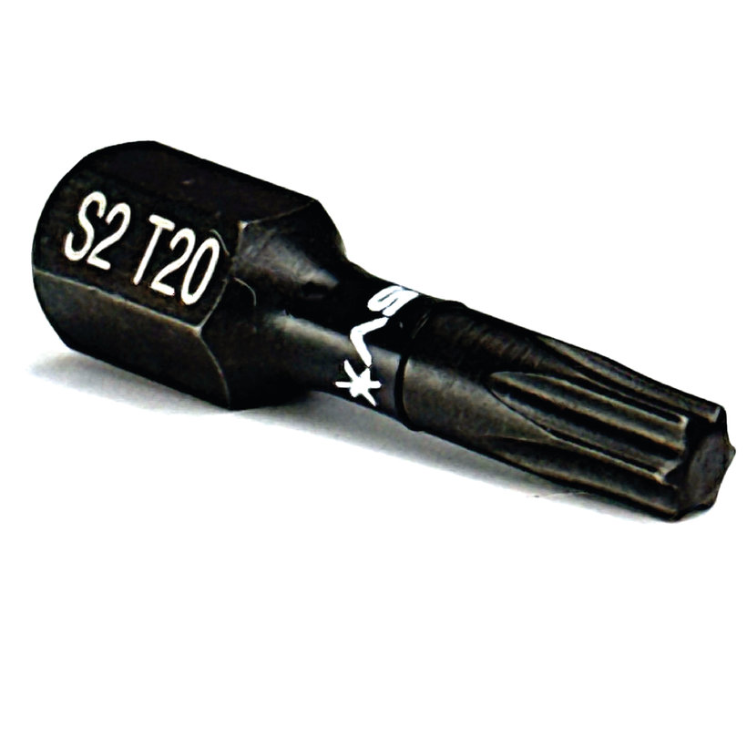 Bit magnetický TX20x25 mm