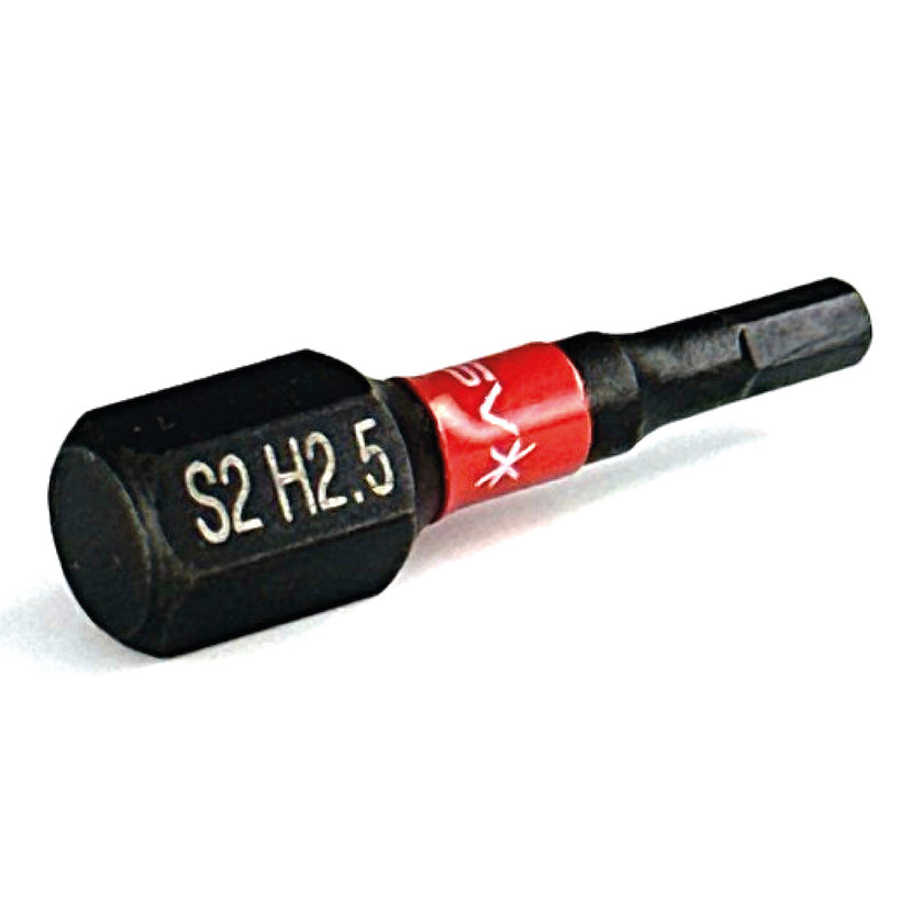 Bit magnetický H2,5x25 mm