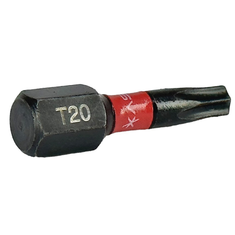 Bit magnetický TX20x25 mm