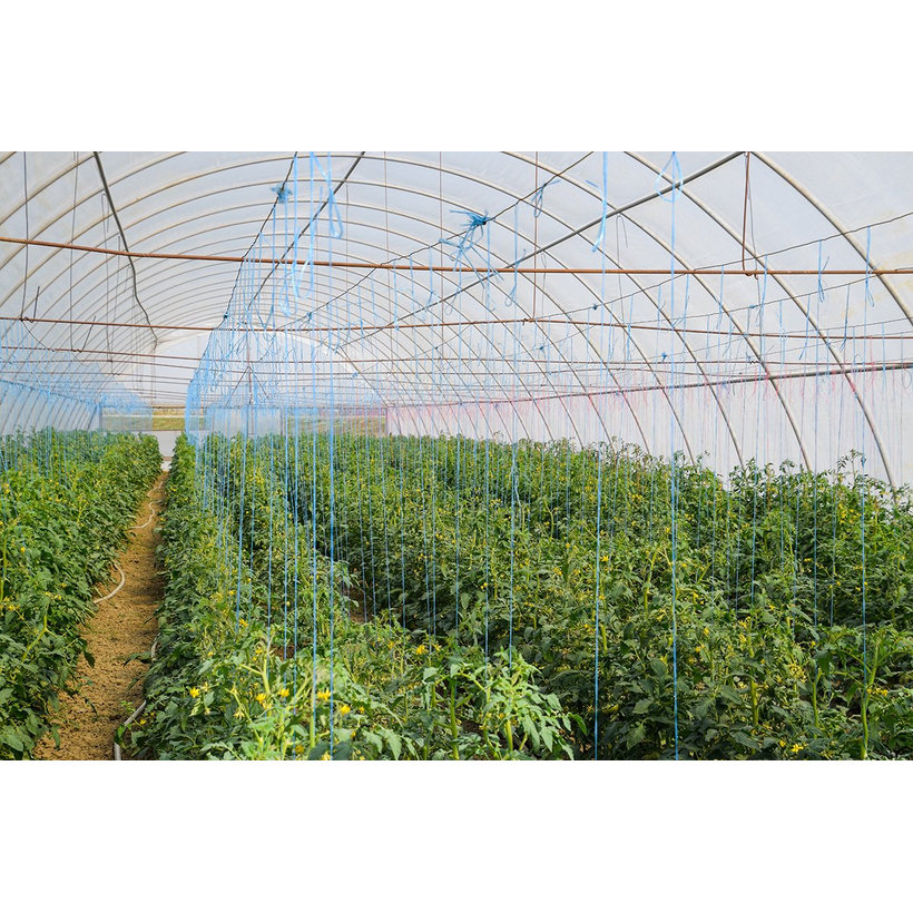 PES lano s jadrom farebné 16pr 3mm