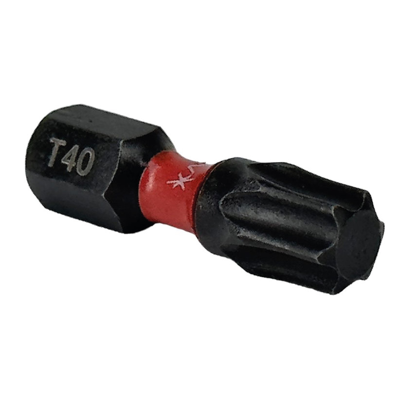 Bit magnetický TX40x25 mm