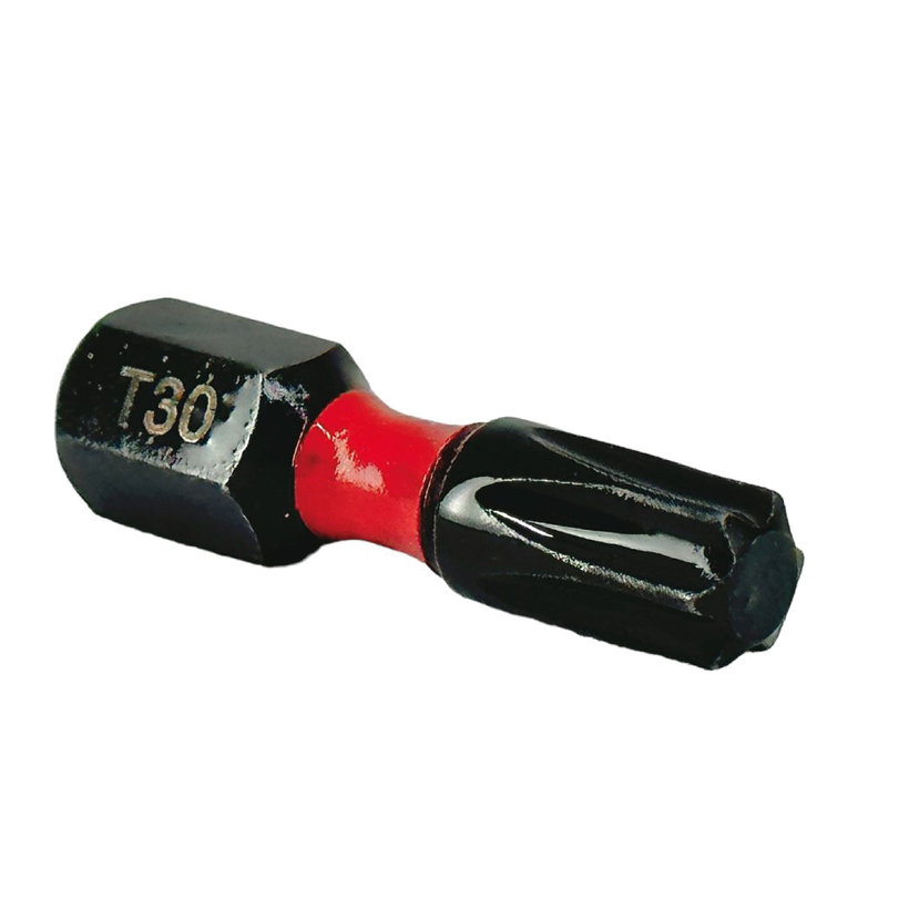 Bit magnetický TX30x25 mm